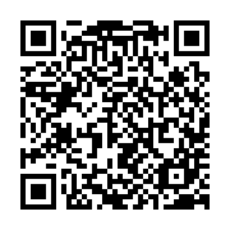 QR code for S96387