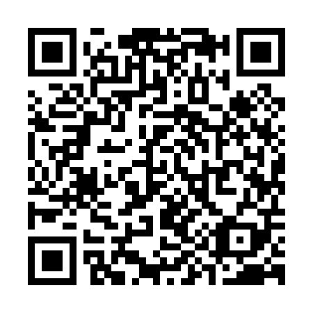 QR code for S99009