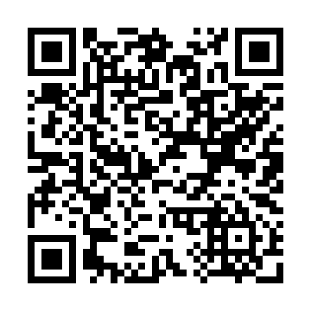 QR code for S99295