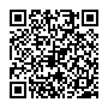 QR code for SAQ-0333