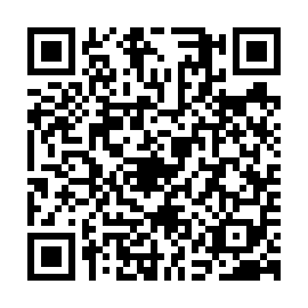 QR code for plate SAS-6595