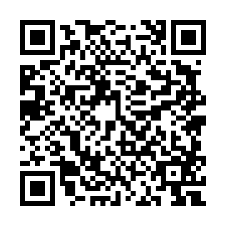 QR code for plate SCM-4863