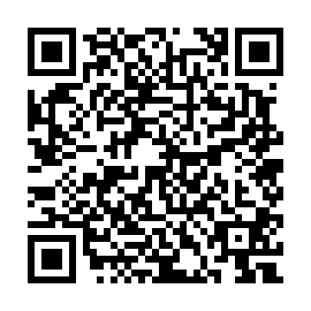 QR code for plate SDG-4005