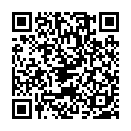 QR code for plate SDU-2918