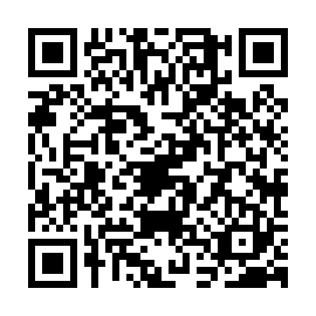 QR code for plate SDX-0238