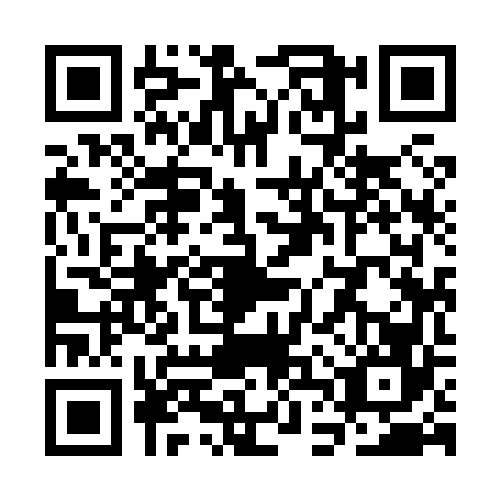 QR code for plate SDY-8663