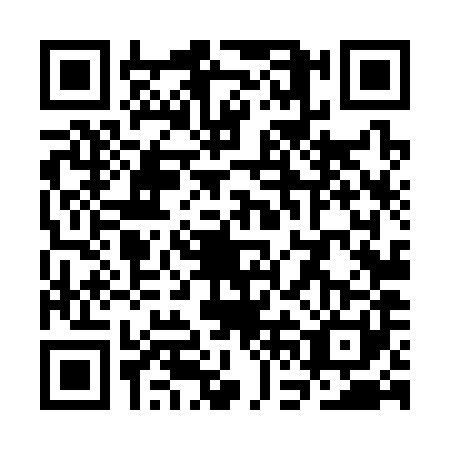 QR code for SFL-3811