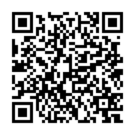 QR code for plate SFS-0371