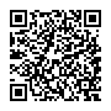 QR code for SFV3965