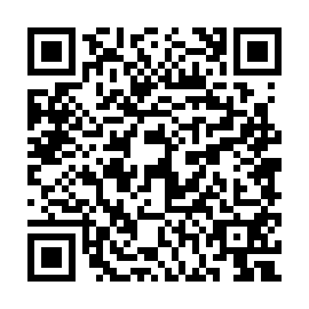 QR code for SGD3501