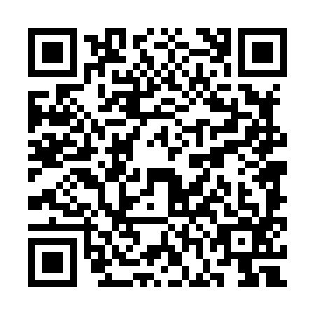 QR code for plate SGD-8963