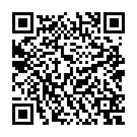 QR code for plate SHM-3228