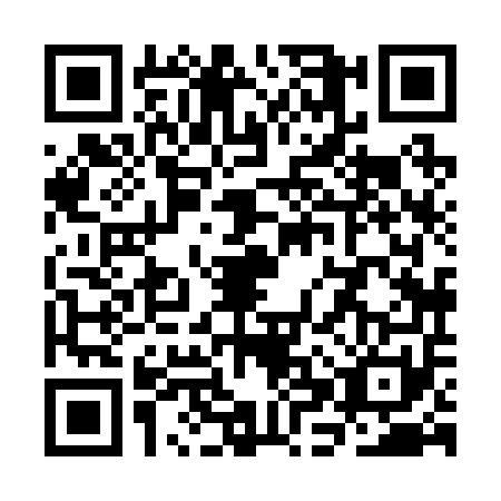 QR code for plate SHX-2517