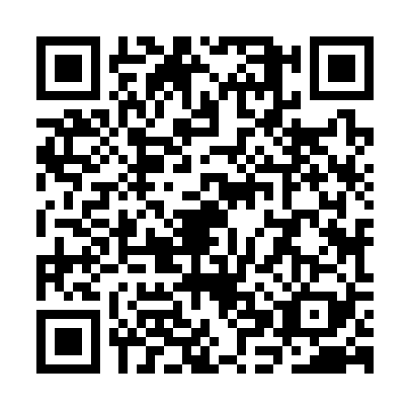 QR code for plate SHZ-3291