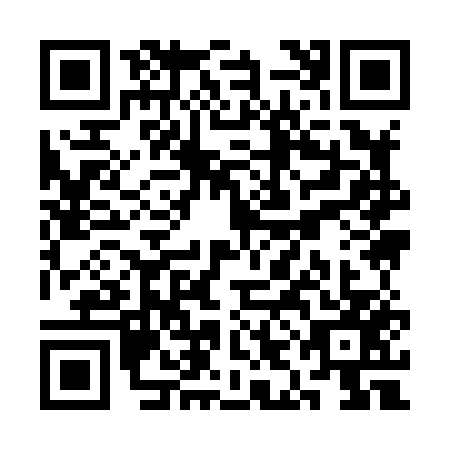 QR code for SII-8573