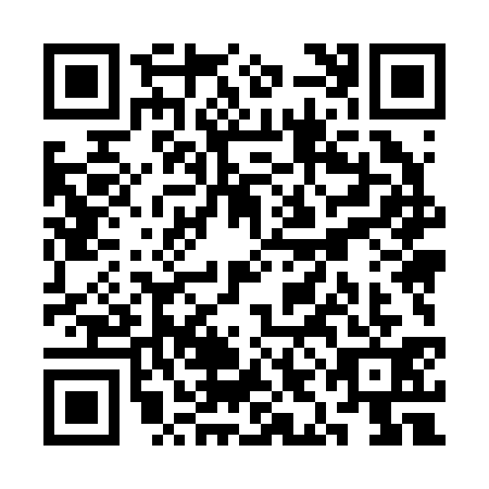 QR code for SIM2313