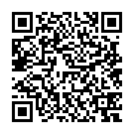 QR code for SIR0384
