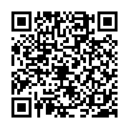 QR code for SIW0311