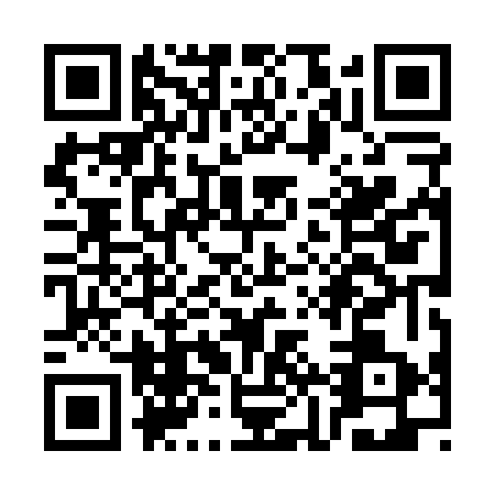 QR code for SJX0633