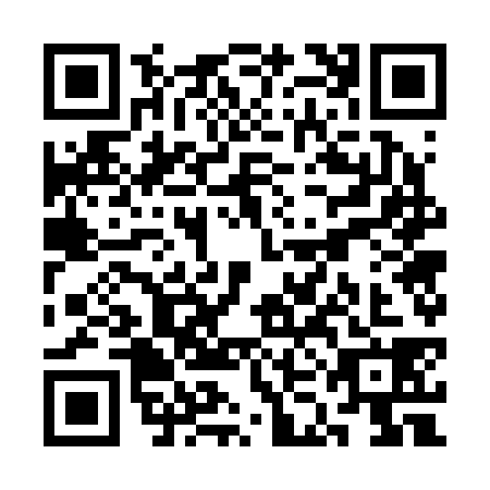 QR code for SKG-2385