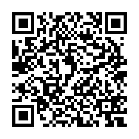 QR code for plate SKK-2196