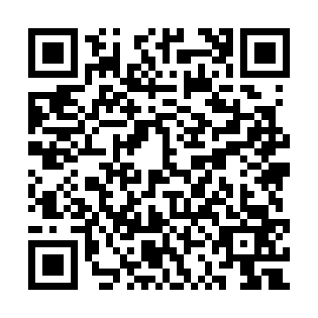 QR code for SSM3638