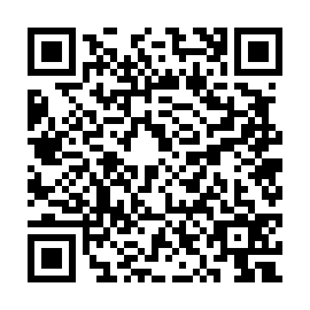QR code for plate SYG-4368