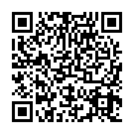 QR code for SYN-1393