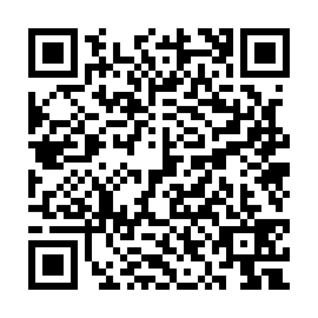 QR code for plate SYO-1396