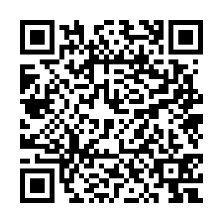 QR code for SYO7317