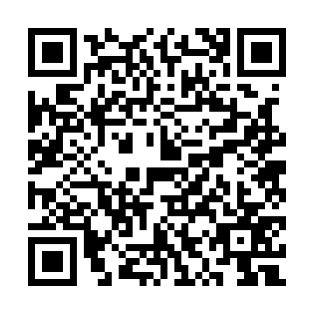 QR code for plate SYR-1770