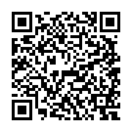 QR code for plate SYR-4816