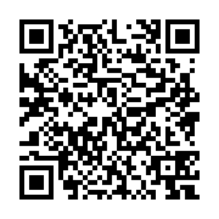 QR code for plate SZX-3381