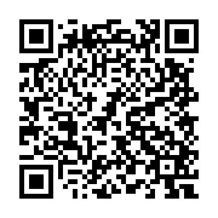 QR code for T00541