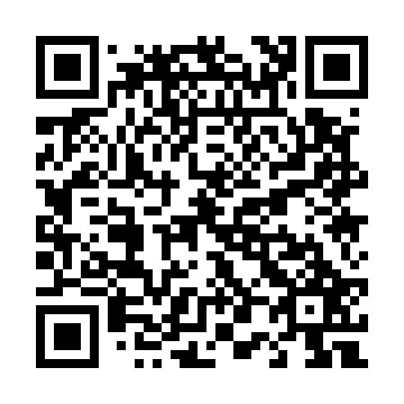 QR code for T01527