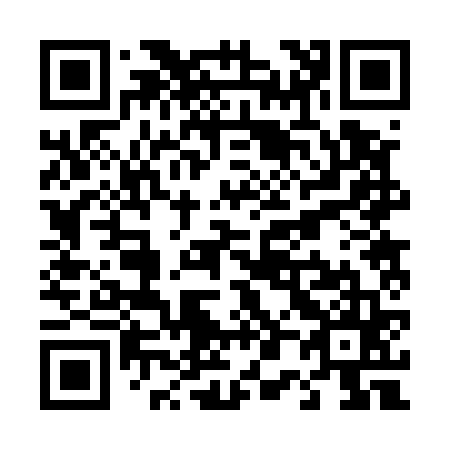 QR code for T02565