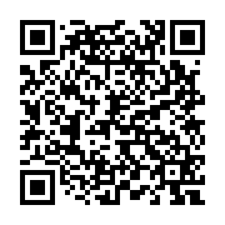 QR code for T03161