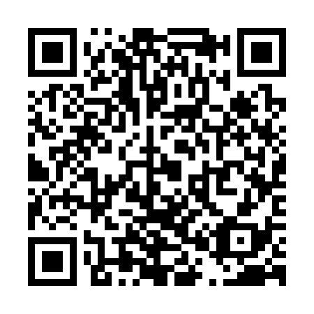 QR code for T03338