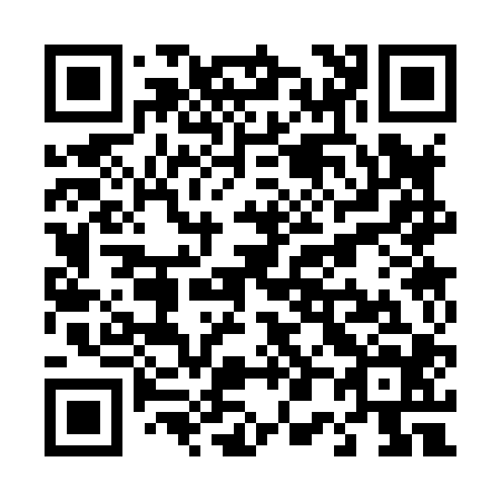 QR code for T03804