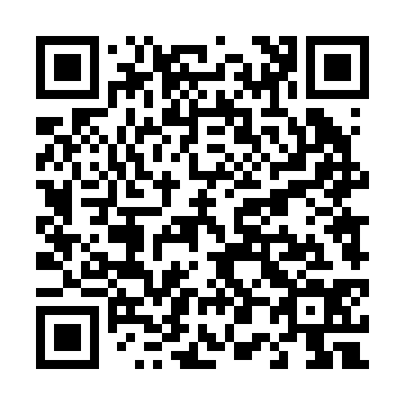 QR code for T04234