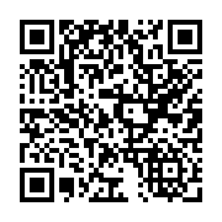 QR code for T04317