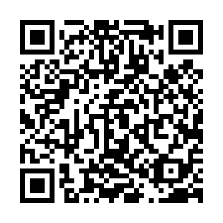 QR code for T04419