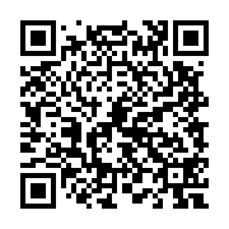 QR code for T04518