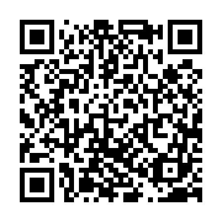 QR code for T04563