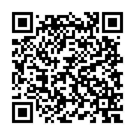 QR code for T04565