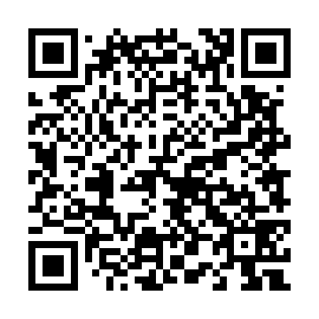 QR code for T04579