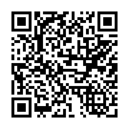 QR code for T04636