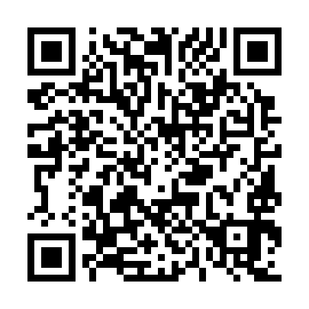 QR code for T05393