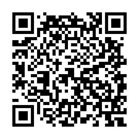 QR code for T06595