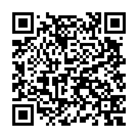 QR code for T07439